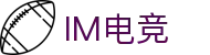 IM(股份有限公司)电竞-电子竞技平台